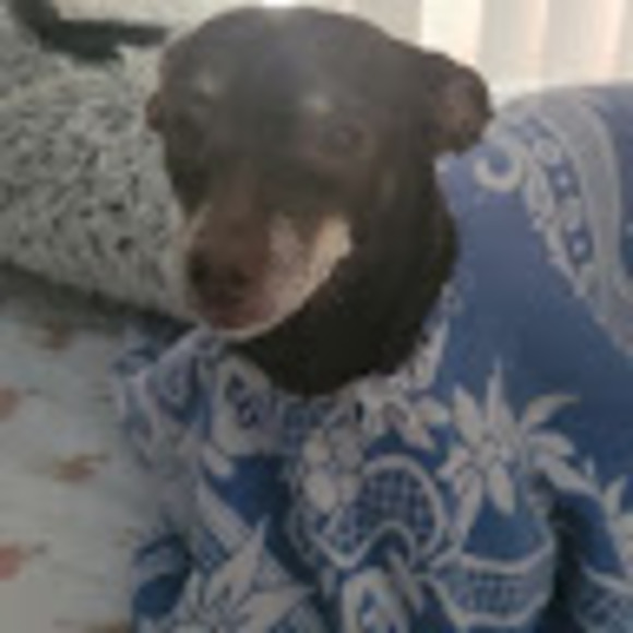 Meet your Posher, Rachel - Picture 1 of 1